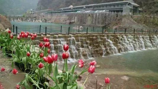 漂亮公主填色